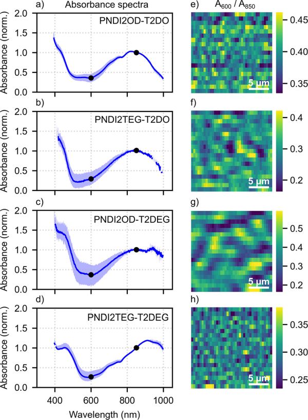 Spatially resolved absorption spectra and maps of the doped copolymer